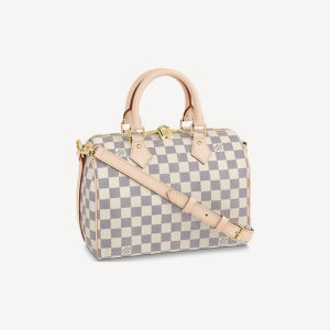 LOUIS VUITTON スピーディ・バンドリエール 25 Ref:N41374