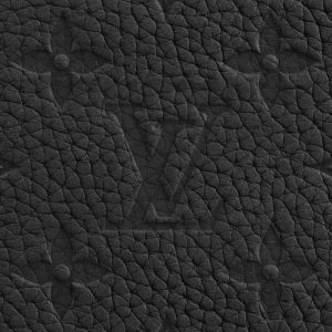 LOUIS VUITTON ポルトフォイユ・ミュルティプル Ref:M82072