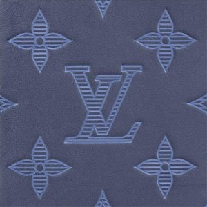 LOUIS VUITTON オーガナイザー・ドゥ ポッシュ  Ref:M80421