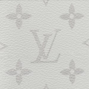 LOUIS VUITTON オーガナイザー・ドゥ ポッシュ Ref:M30933