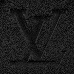 LOUIS VUITTON レディースブラックバッグ Ref:M45653