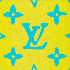 LOUIS VUITTON オーガナイザー・ドゥ ポッシュ Ref:M82034