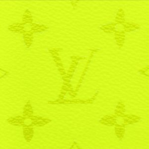 LOUIS VUITTON オーガナイザー・ドゥ ポッシュ Ref:M30949
