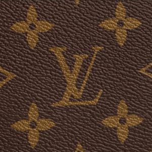 LOUIS VUITTON ジッピー・オーガナイザー NM Ref:M62581