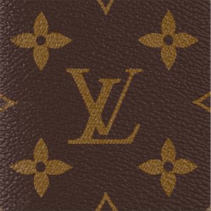 LOUIS VUITTON   オーガナイザー･ドゥ ポッシュ   Ref：M60502