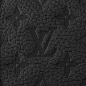 LOUIS VUITTON キーポル･バンドリエール 35Ref:M22765